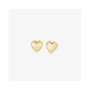 Boucles d´oreilles Femme Radiant RY000055 Acier inoxydable 1,5 cm