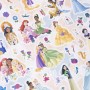 Boîte d’Activités pour coloriage Disney Princess 5 en 1
