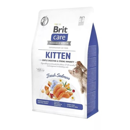 Comida para gato Brit 100-172542 Salmón 2 Kg